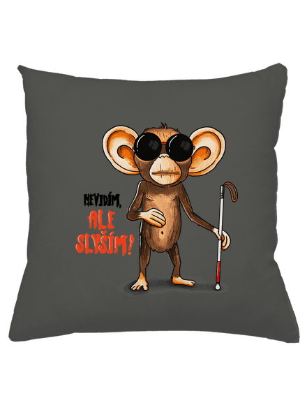 Nevidím, ale slyším