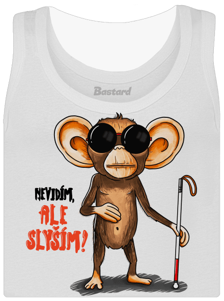 Nevidím, ale slyším