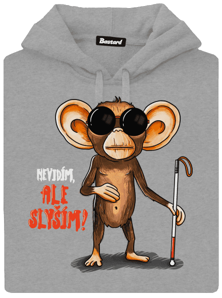 Nevidím, ale slyším