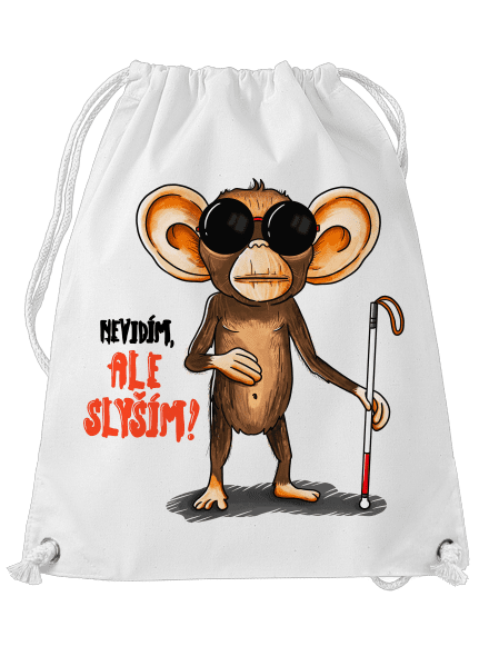 Nevidím, ale slyším