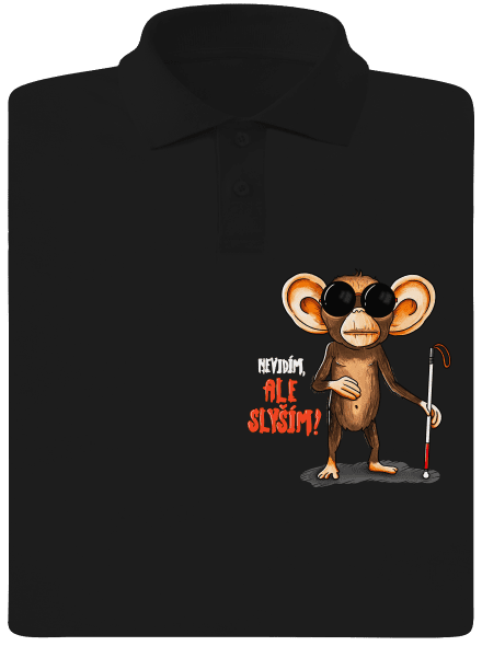 Nevidím, ale slyším