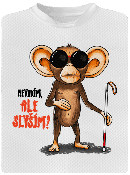 Nevidím, ale slyším