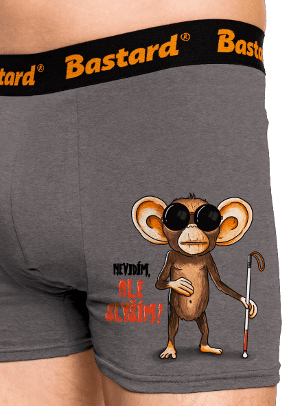 Nevidím, ale slyším