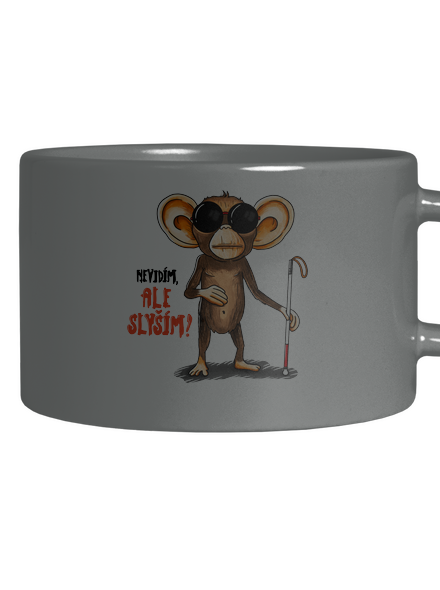 Nevidím, ale slyším