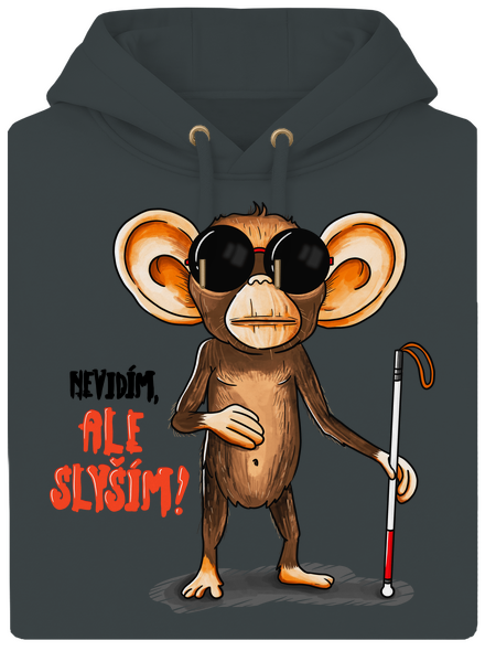 Nevidím, ale slyším