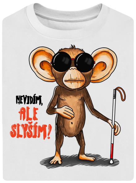 Nevidím, ale slyším