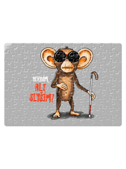 Nevidím, ale slyším