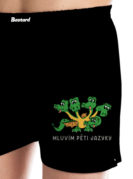 Mluvím pěti jazyky