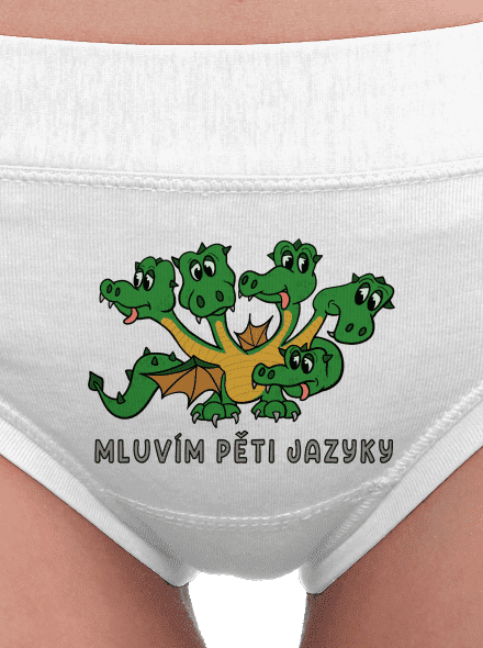 Mluvím pěti jazyky