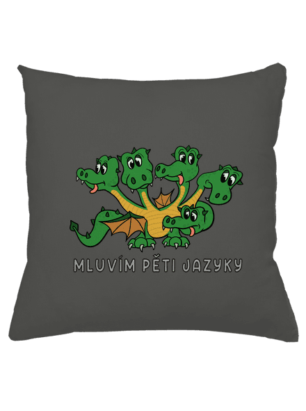 Mluvím pěti jazyky