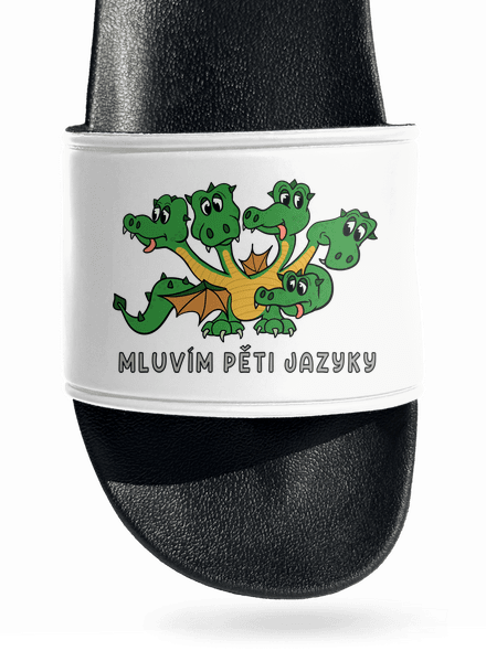 Mluvím pěti jazyky