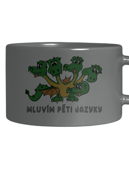 Mluvím pěti jazyky