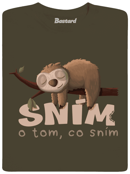 Sním o tom, co sním