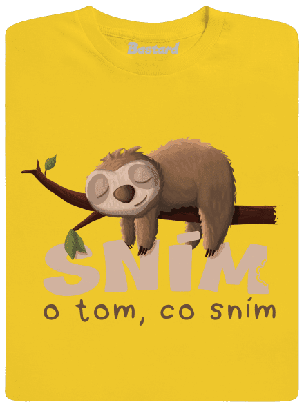 Sním o tom, co sním