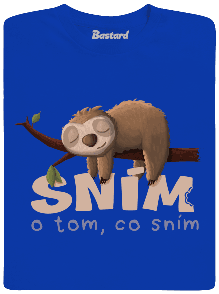 Sním o tom, co sním