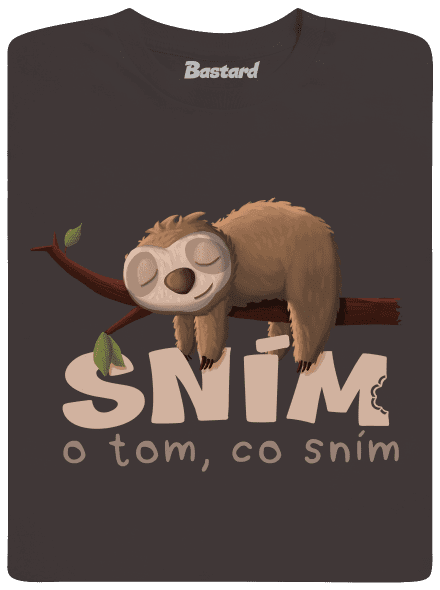 Sním o tom, co sním