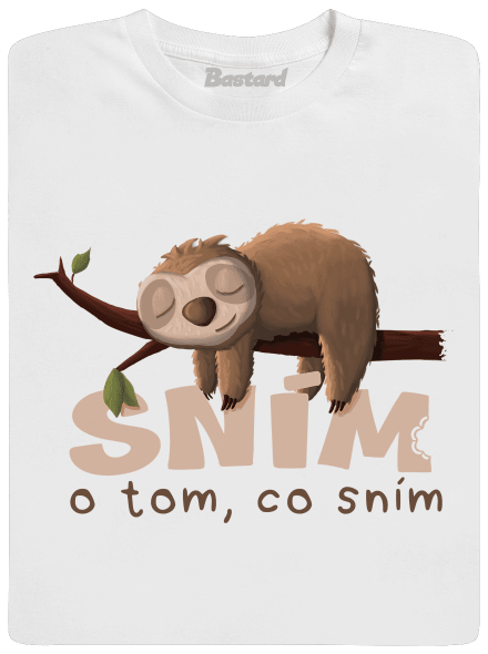 Sním o tom, co sním