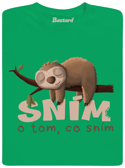 Sním o tom, co sním