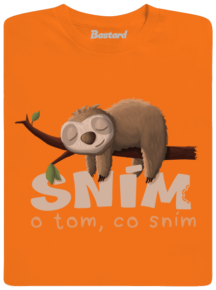 Sním o tom, co sním