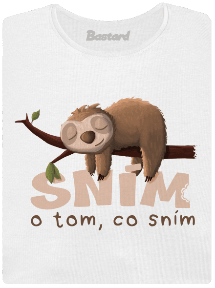 Sním o tom, co sním