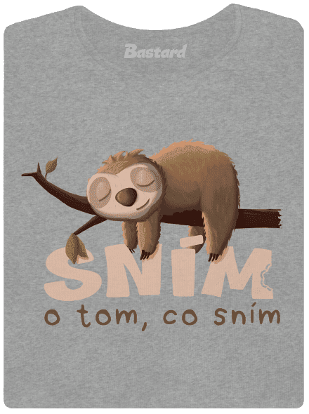 Sním o tom, co sním