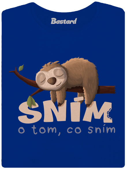 Sním o tom, co sním