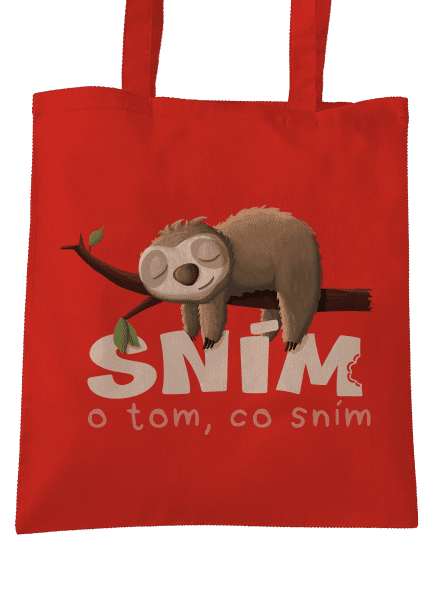 Sním o tom, co sním