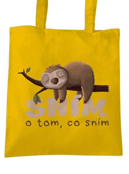 Sním o tom, co sním