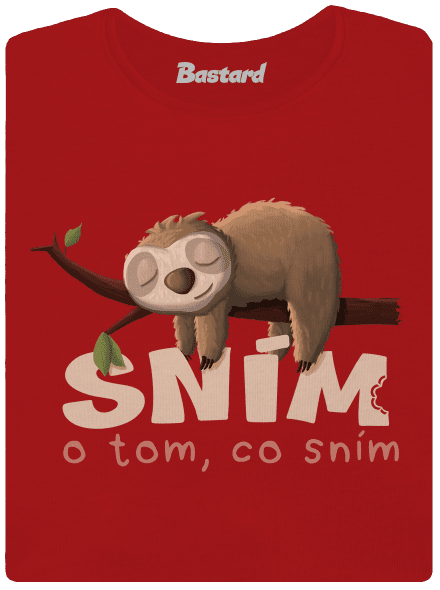 Sním o tom, co sním