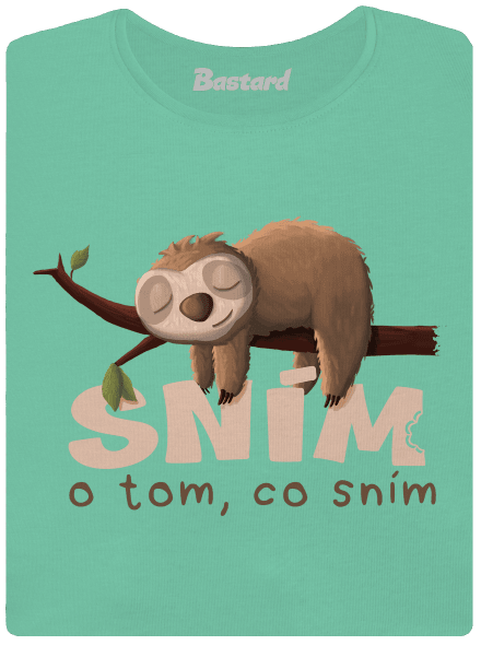 Sním o tom, co sním