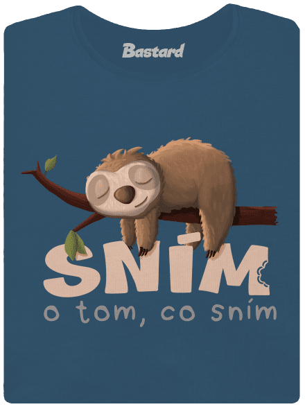 Sním o tom, co sním