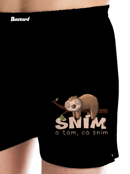 Sním o tom, co sním