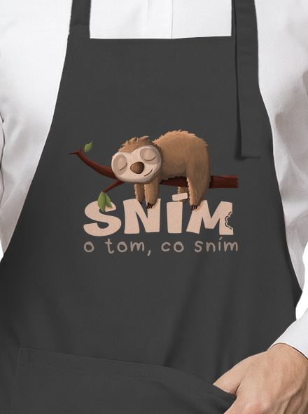 Sním o tom, co sním