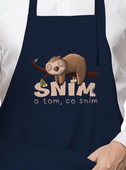 Sním o tom, co sním