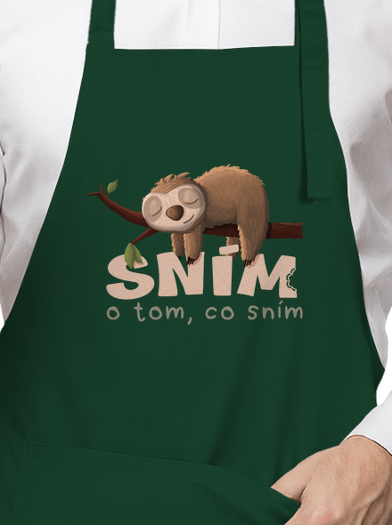 Sním o tom, co sním