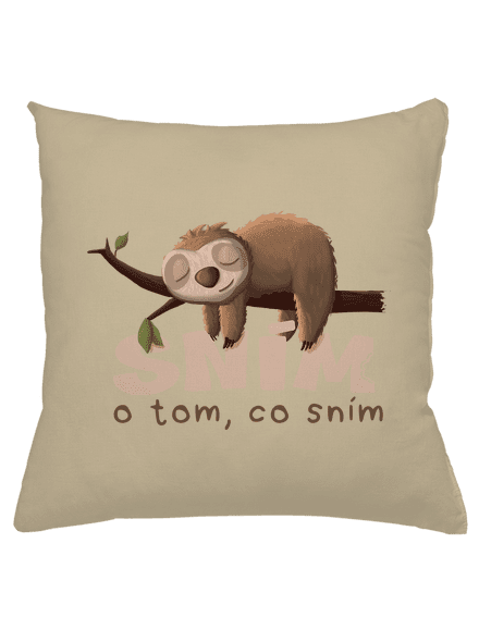 Sním o tom, co sním