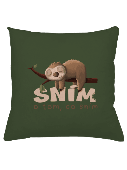 Sním o tom, co sním