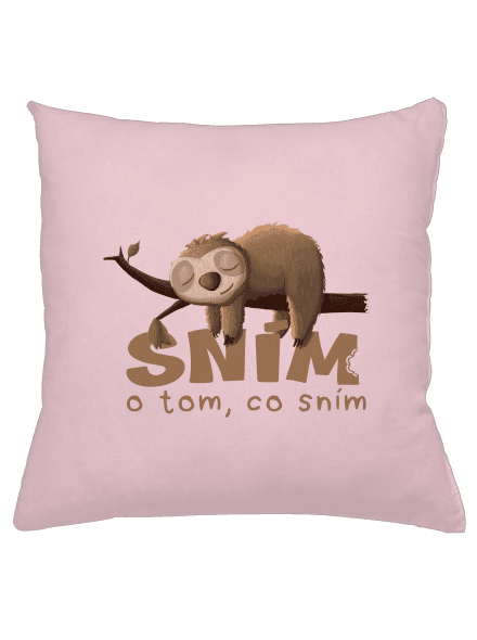 Sním o tom, co sním