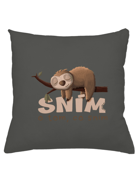Sním o tom, co sním