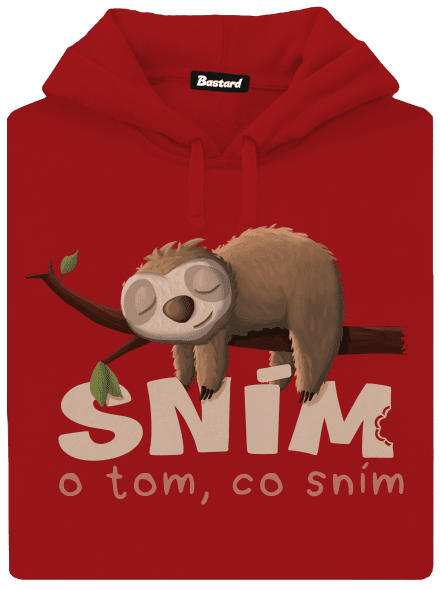 Sním o tom, co sním