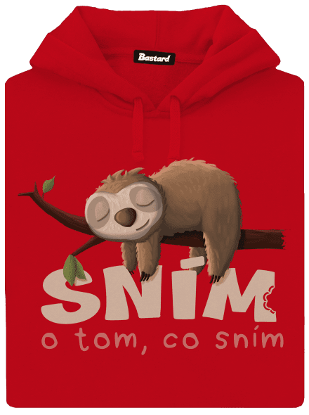 Sním o tom, co sním