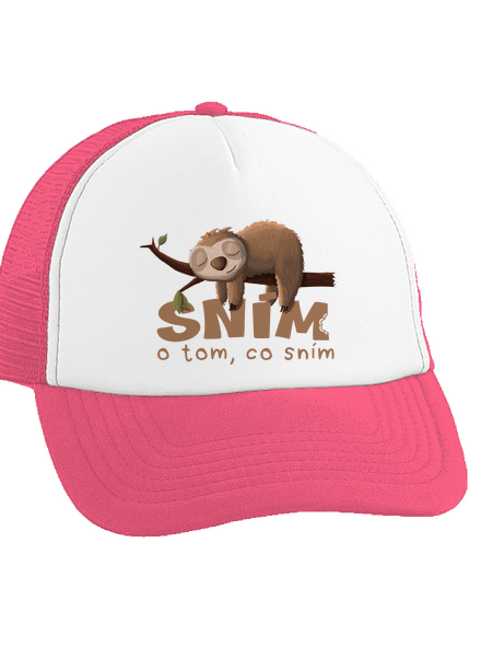 Sním o tom, co sním