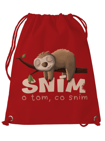 Sním o tom, co sním