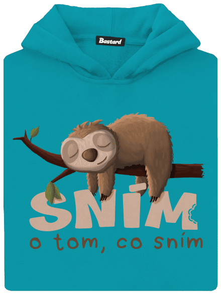 Sním o tom, co sním