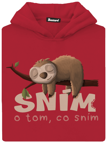Sním o tom, co sním