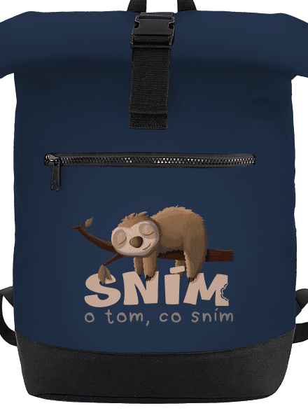 Sním o tom, co sním