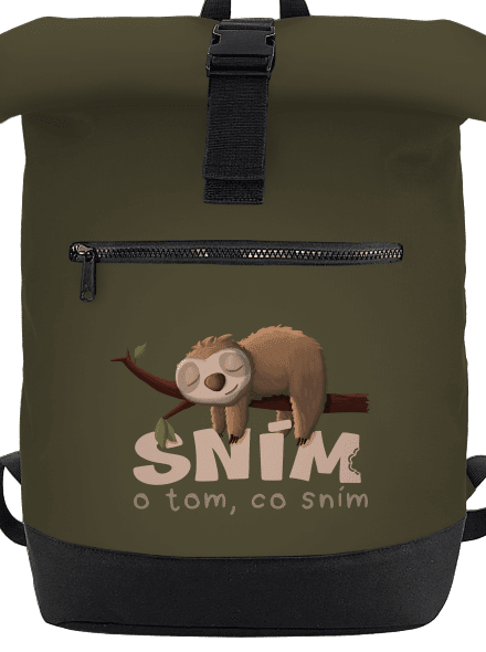 Sním o tom, co sním