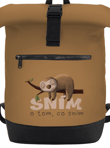 Sním o tom, co sním