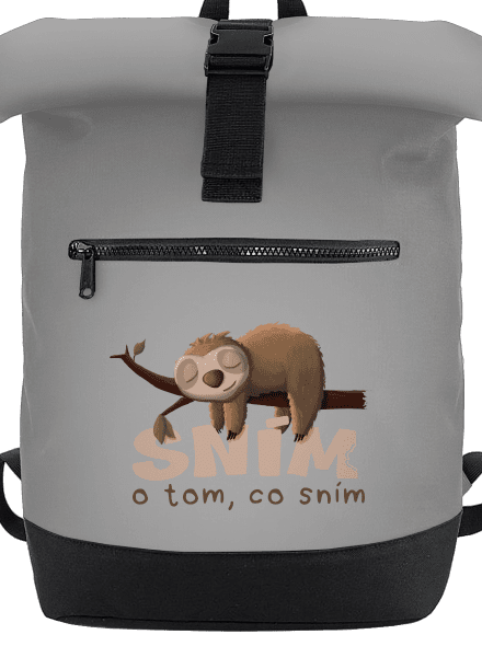 Sním o tom, co sním