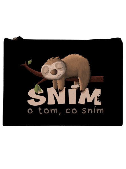 Sním o tom, co sním